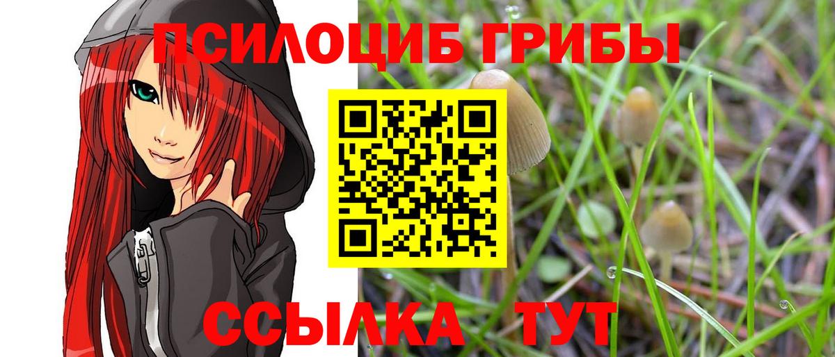 Галлюциногенные грибы Cubensis Новосибирск